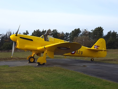 faireyfirefly