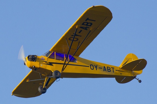 pipercub