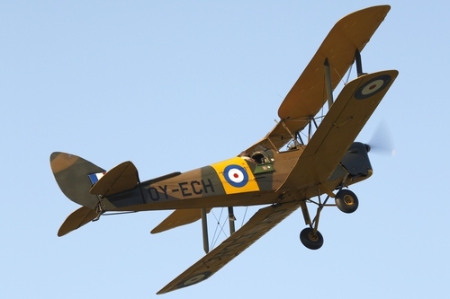 Tiger Moth