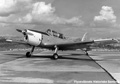 ChipmunkTMk20 s